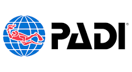 Padi